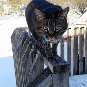 Meet your Posher, Carol